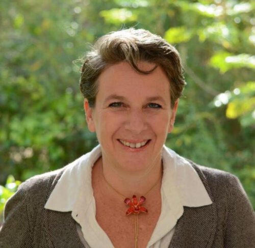 שירלי פלביק