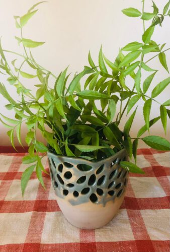 אגרטל ירקרק חיתוך עלים