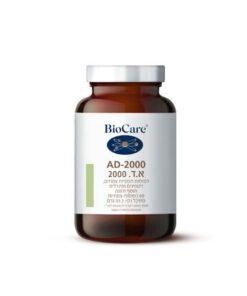 AD 2000 | אי די 2000