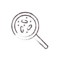 איור לחיזוק מערכת חיסון דף ראשי