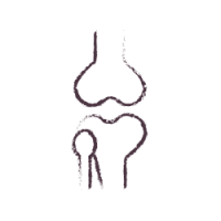 פרקים מפרקים אור לדף ראשי