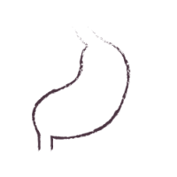 מערכת עיכול איור לדף ראשי